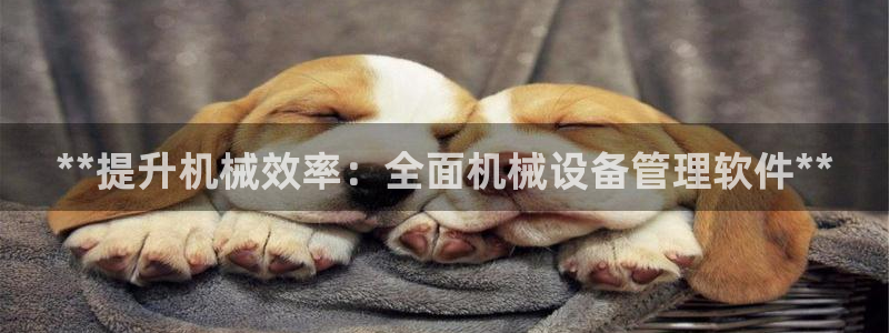 九游会官方正版下载