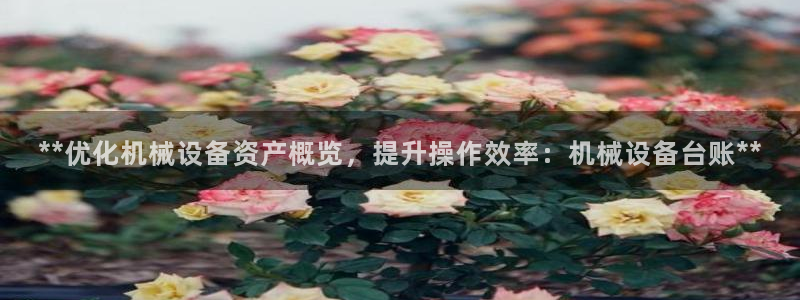 九游会网址是什么情况