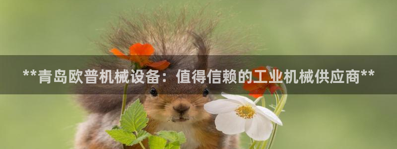 九游j9官网入口