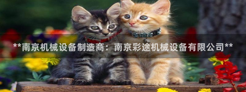 j9官网平台