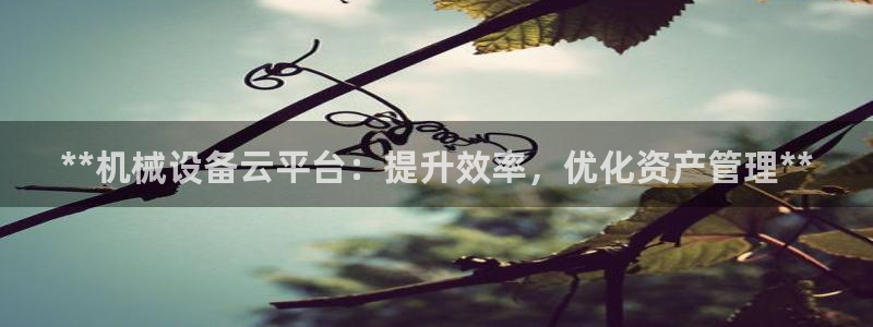 九游j9会