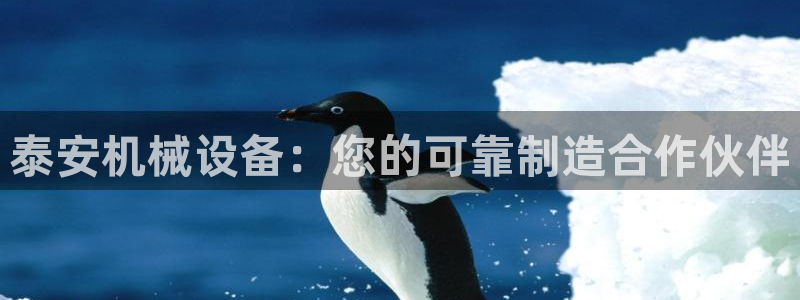 九游会网址jn109
