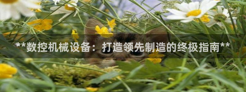 九游会老哥俱乐部社区论坛