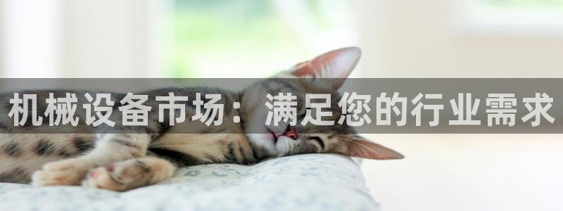 9游会j9