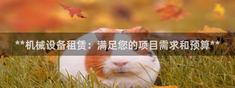 九游会是干嘛的软件