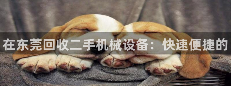九游会usdt