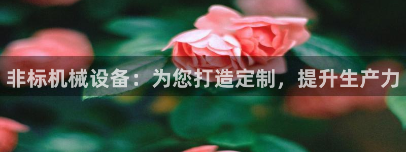 九游会ag网址大全专业版