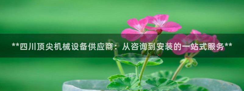 9游会登录地址