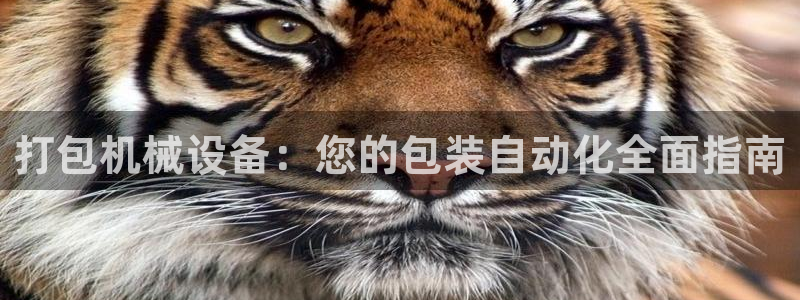 九游会 app下载