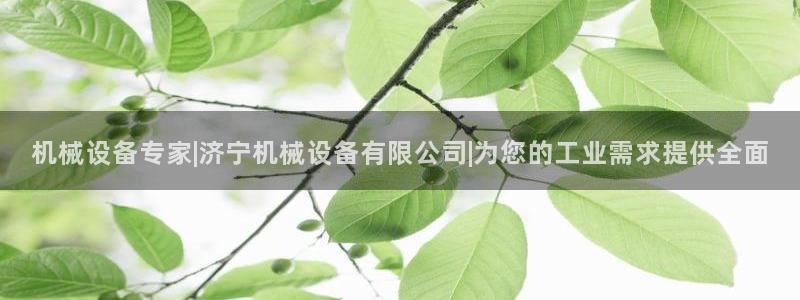 九游会中国j9