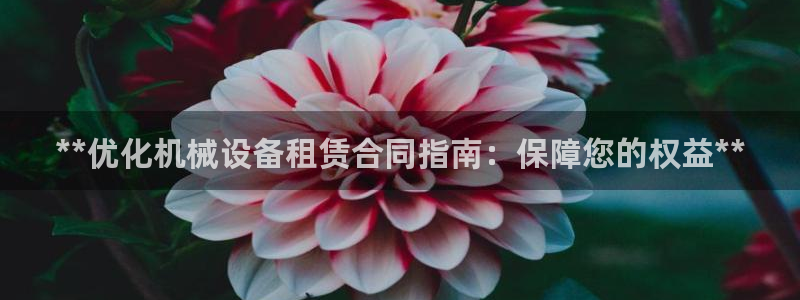 九游会agj9