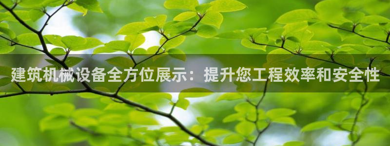九游会ag真人官网|九游真人
