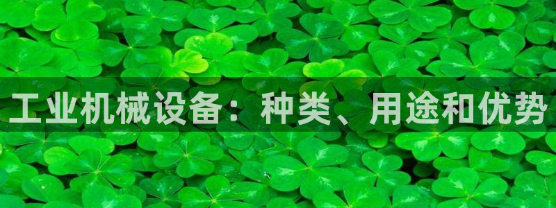 j9九游会真人游戏第一