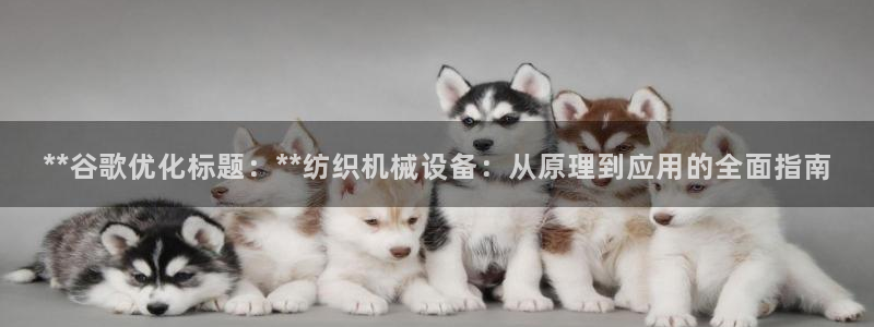 j9九游会真人第一品牌