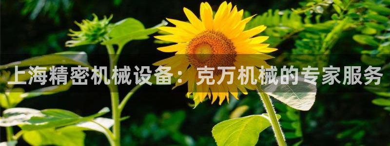 九游会国际站