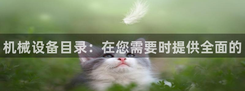 九游会网址最新