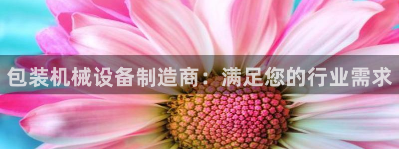 九游会官