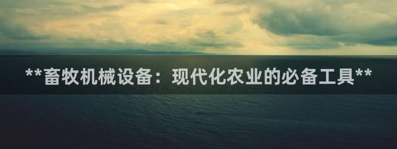 九游j9会