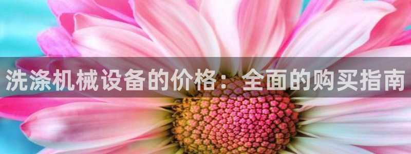 j9九游会备用网址