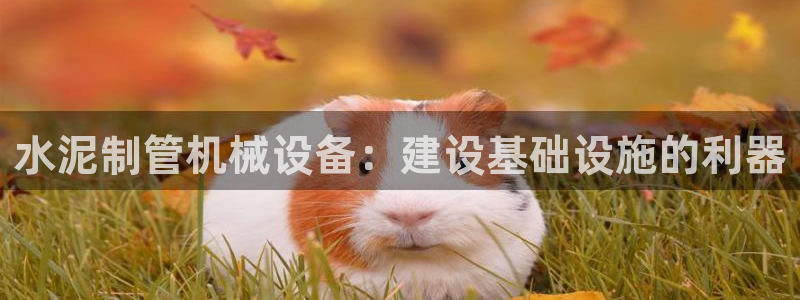 ag九游会老哥俱乐部