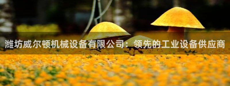九游会老哥俱乐部官网