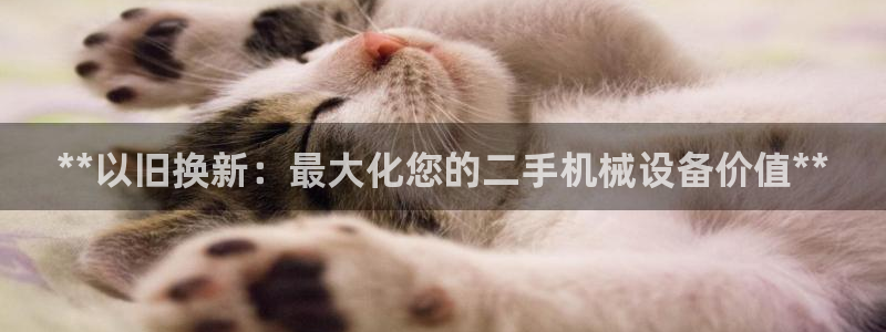 九游j9国际站官方网站