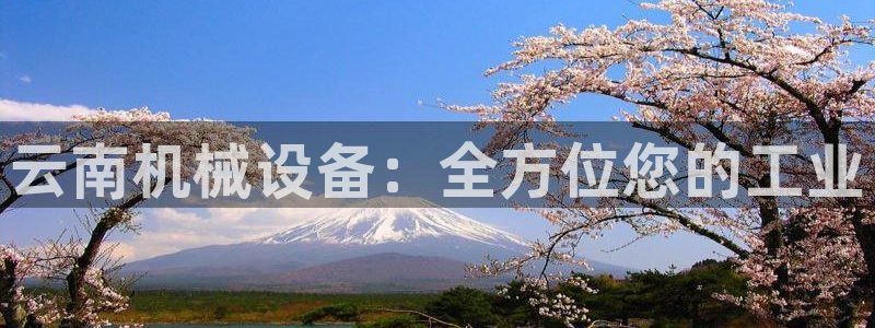 ag九游会老哥