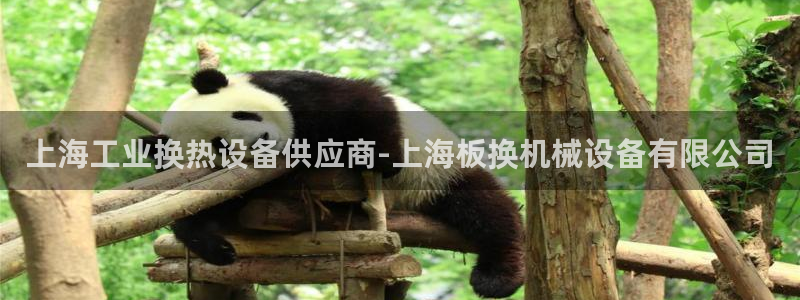 九游j9国际站官方网站