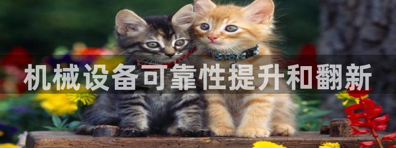 ag8亚洲九游会
