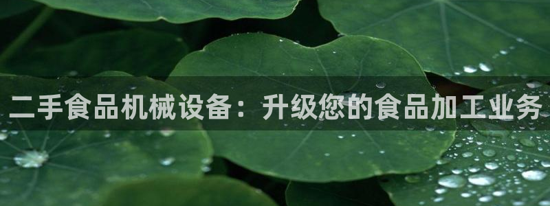 九游会ag官方平台