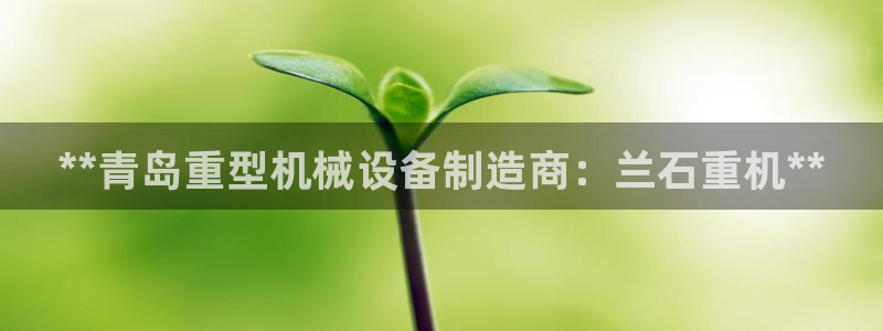 9游会ag