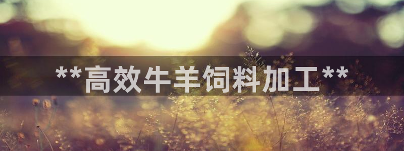 九游会官网ag
