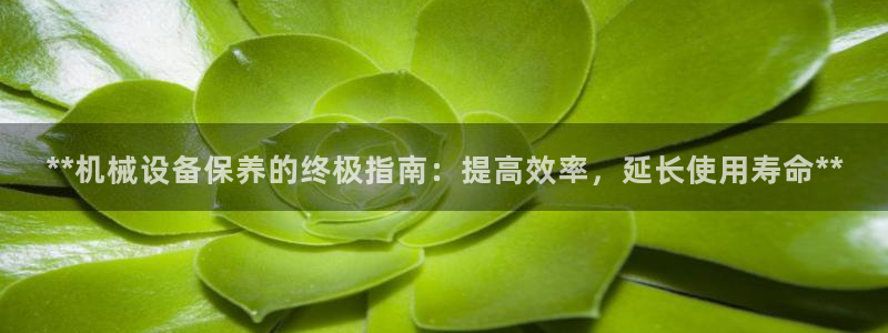九游会集团国际
