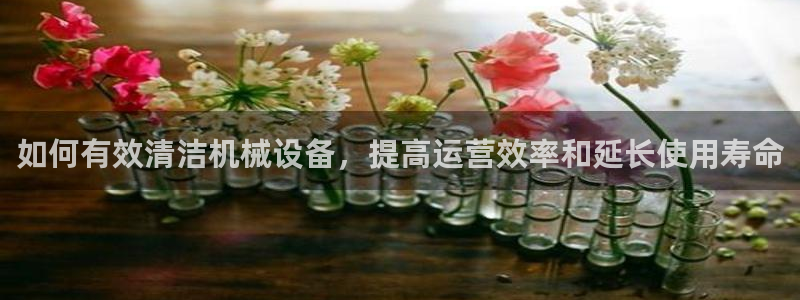 九游会官方选网址是j9.cm