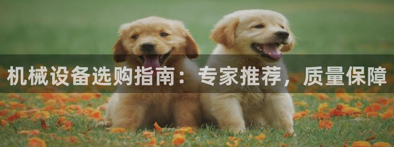 ag九游会老哥