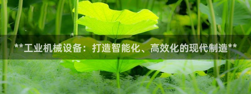 ag九游俱乐部