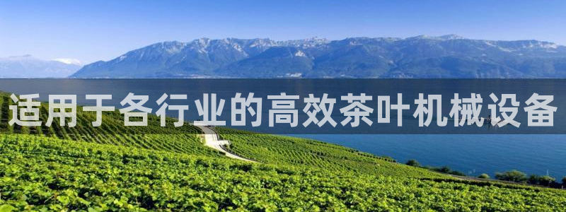 ag九游会论坛