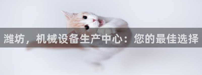 九游会usdt
