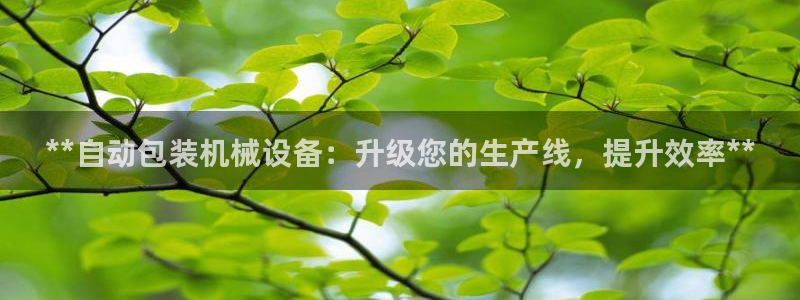 j9九游会真人第一品牌