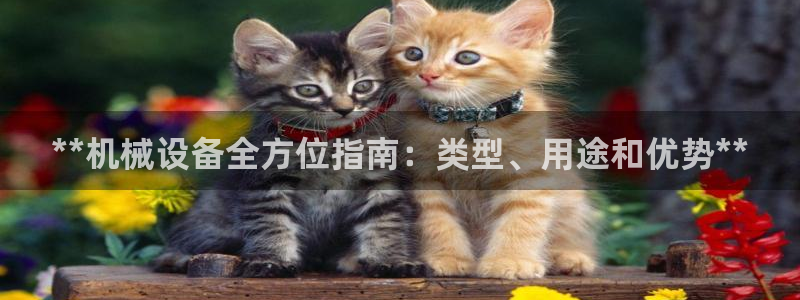 9游会老哥