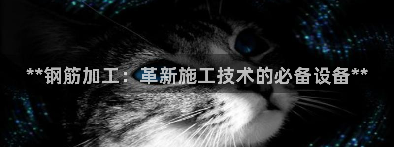 九游老哥俱乐部官方网站