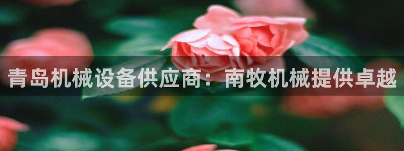 九游会吧