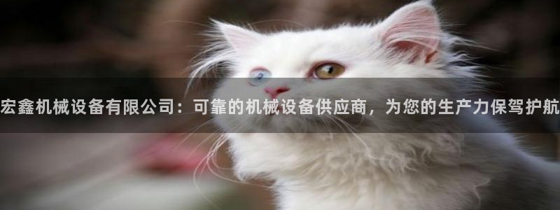 九游会网址大全