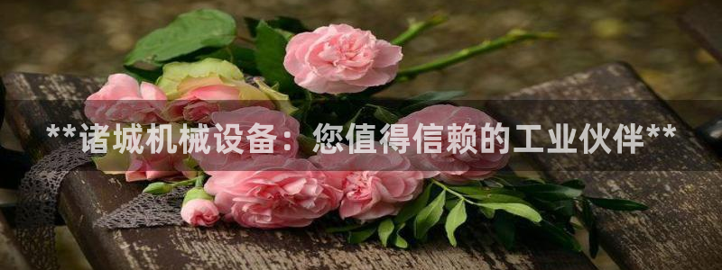 九游J9真人游戏第一品牌