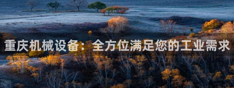 ag九游会vip8