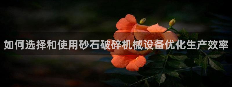 九游会官方网