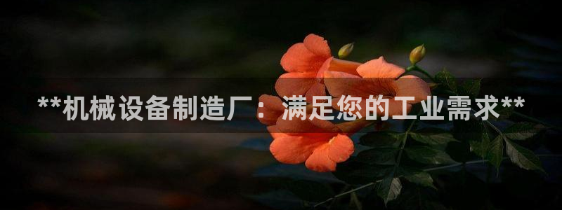 九游会平台怎么样