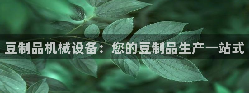 九游会 ag