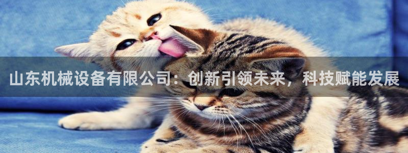 j9九游会首页入口