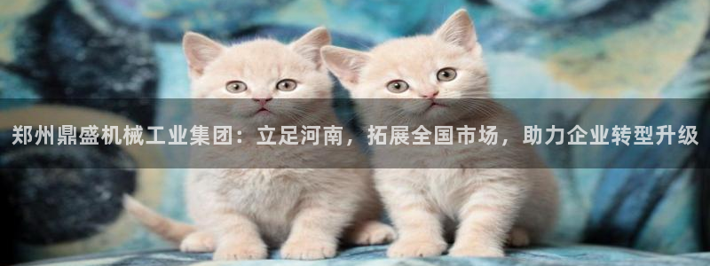 j9九游会安卓版下载